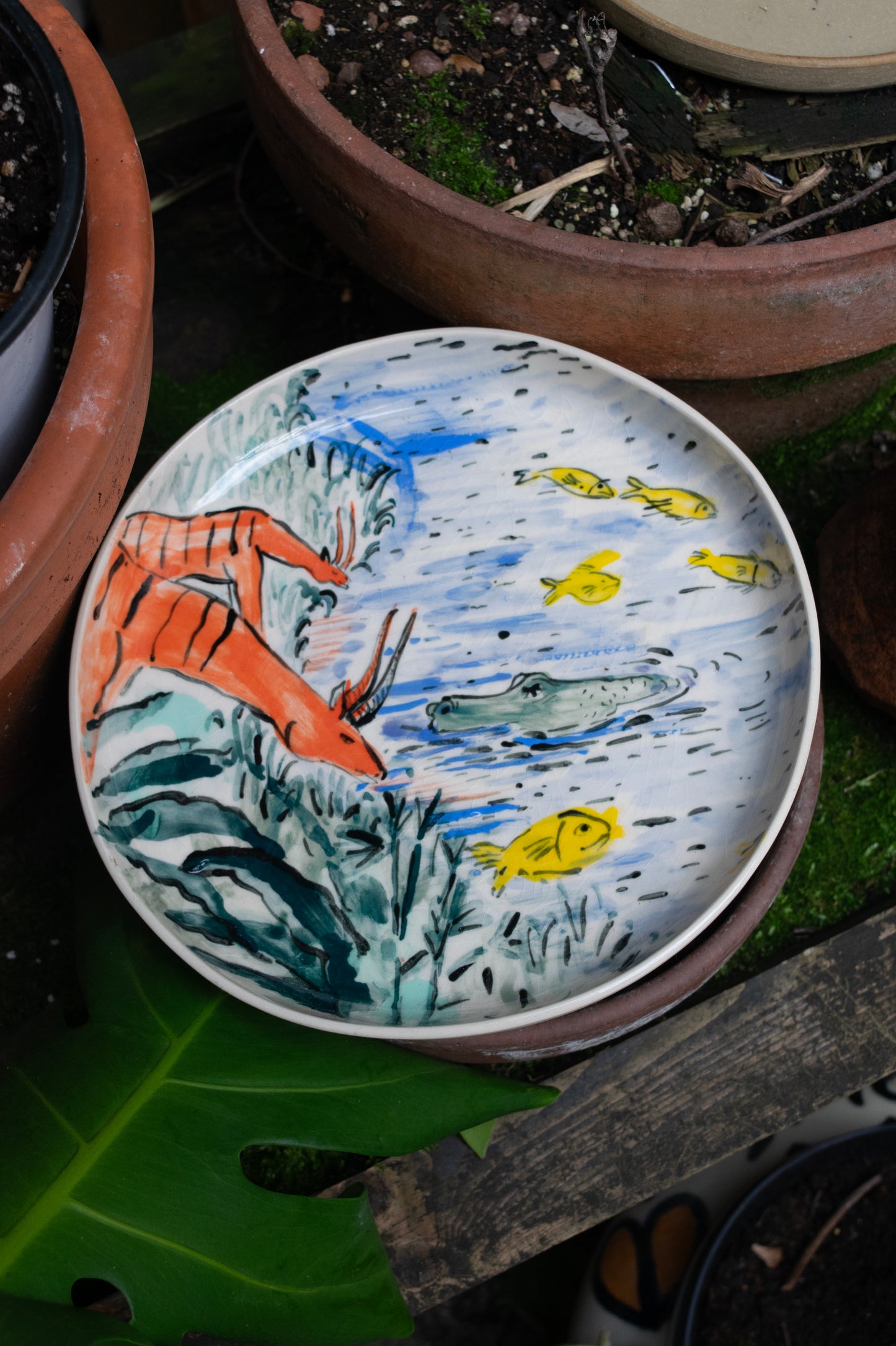 Jungle Series; Plate (VII)